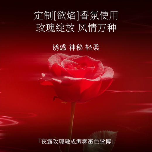 【双旦狂欢·钜惠来袭】【情趣内衣】大象「黛」系列香氛性感蕾丝透视情趣睡衣 商品图1