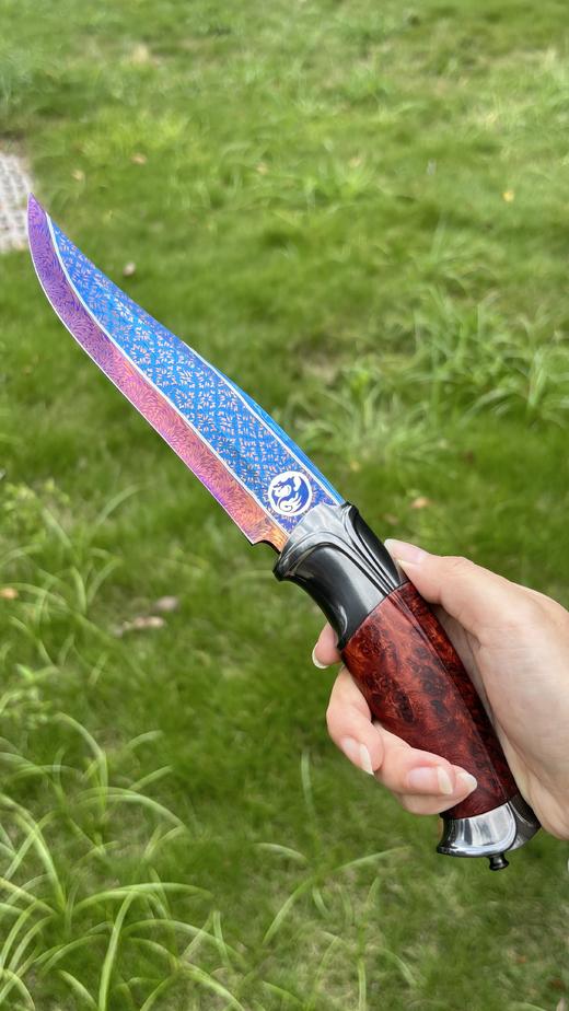 三希堂  星空系列  天坛座之龙  未开刃 商品图3