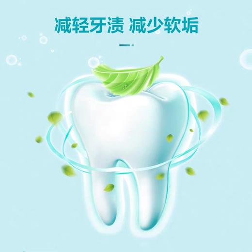纳爱斯自然盐白牙膏 200g/支 商品图2