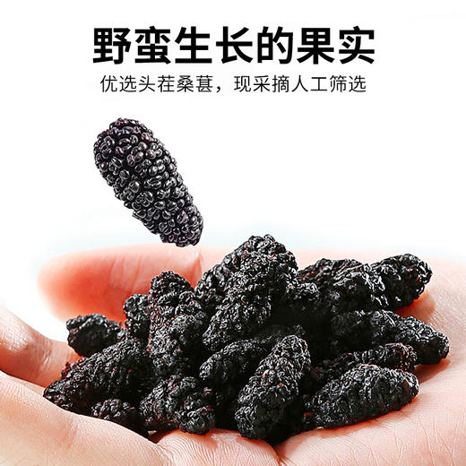 新疆喀什西圣桑葚干208g/罐 商品图2