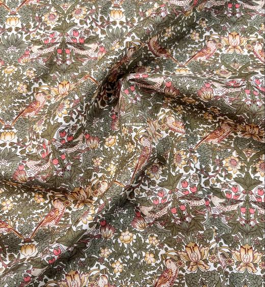 LT233B 草莓小偷 Strawberry Thief   塔纳棉 经典款 269/M 邮费到 商品图3