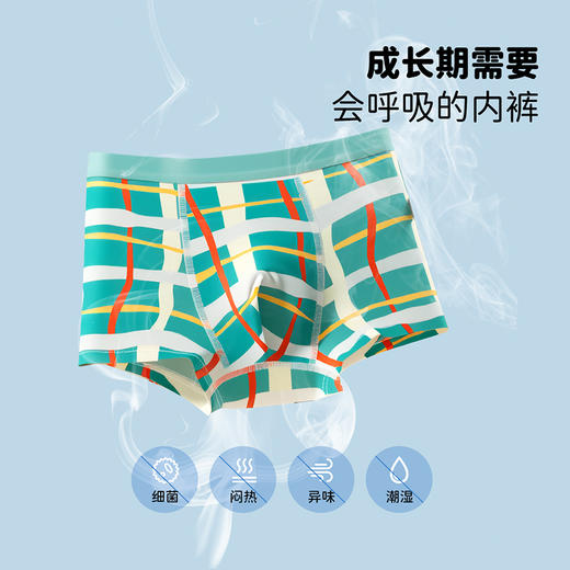 贝贝怡春夏薄款柔软透气平角内裤男童棉弹不夹PP四角裤（4件装）ZB5EP015 商品图5