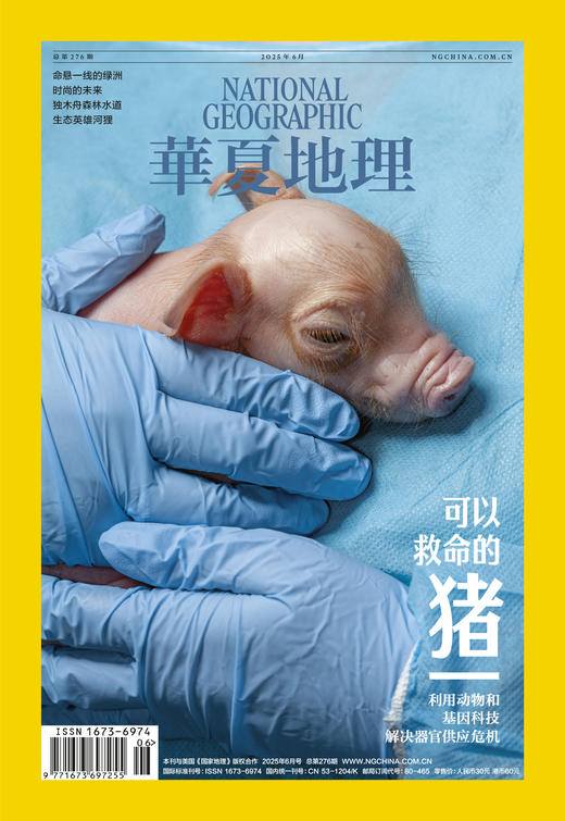 《华夏地理》杂志2025年6月刊-可以救命的猪 命悬一线的绿洲 时尚的到来 独木舟森林水道 生态英雄河狸 商品图0