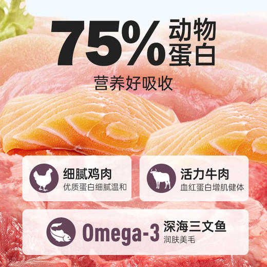 INNE益纳焕能系列全价猫粮P75 商品图5