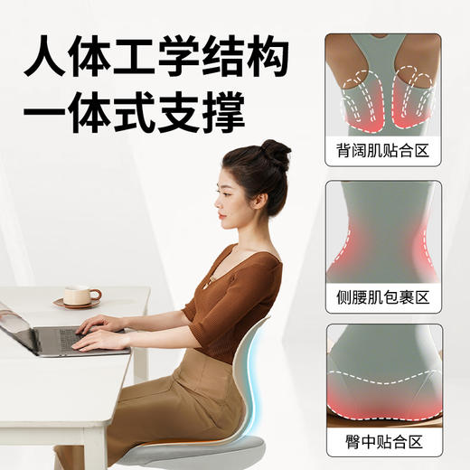和正 护腰坐垫HZ-CS-2 商品图5