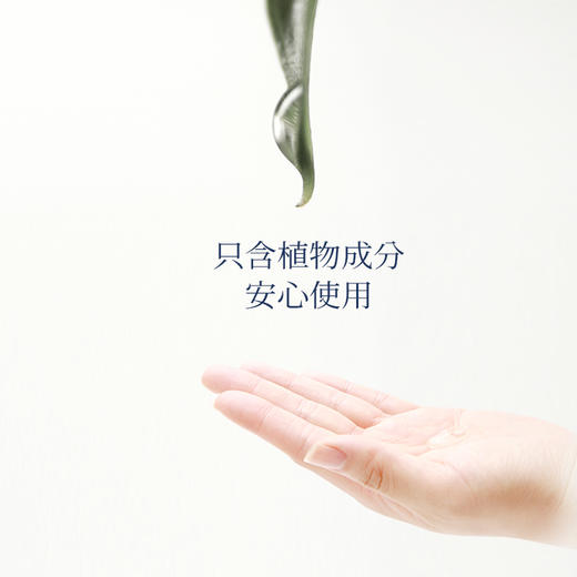 橪乳香月桂臻爱精华油15ml复方精油 商品图4