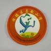 通版佛山市顺德区昌教小学包边校徽服布标姓名贴章可缝烫现货发51 商品缩略图0