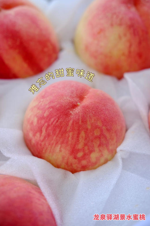顺丰包邮到家，给你17➕的甜度
龙泉驿湖景水蜜桃，晒足日光浴，喝饱山泉水，在“天然氧吧”中长大，土壤含有丰富的矿物质，长出来的桃子格外的甘冽、芳香、甜蜜比市面上大多数的水蜜桃都更加的优秀。8-12粒 商品图3