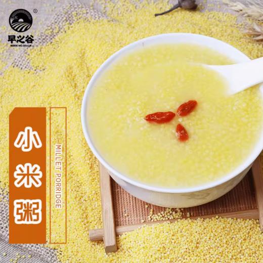 1000g早之谷小米粥 商品图2