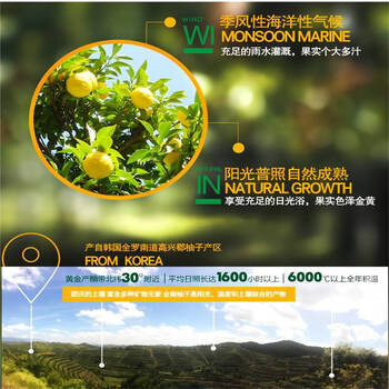 全南蜂蜜柚子茶1kg 韩国进口冲调饮品 水果茶柚子茶下午茶 /传统滋补 /蜂蜜/蜂产品 /蜂蜜 商品图0