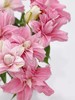重瓣百合粉蝶【蝴蝶即使飞不过沧海，也没有人忍心责怪】简小姐精选 新品 重瓣百合粉蝶 下单后5天内发货 商品缩略图2