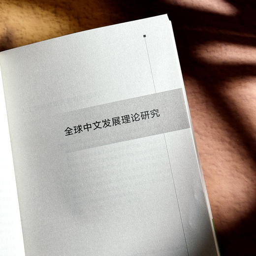 他山之石 国际中文教育研究前沿 全球中文发展研究 第五辑 商品图9