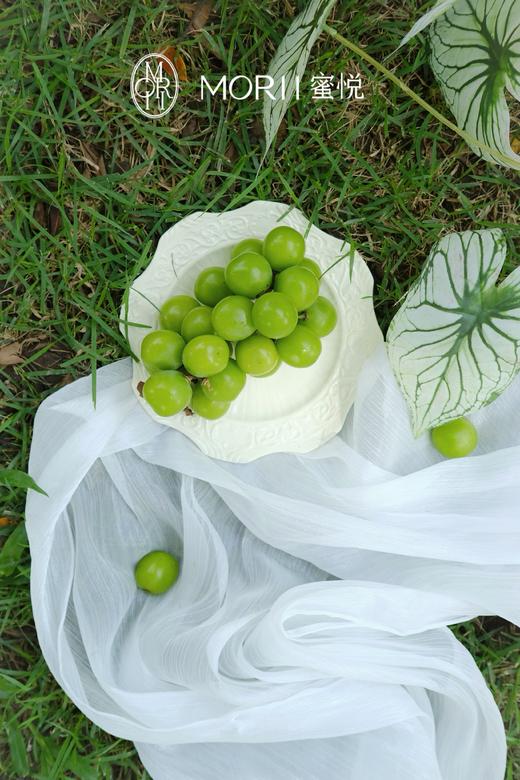 龙井柚子香缇蛋糕（提前1天预定） 商品图5