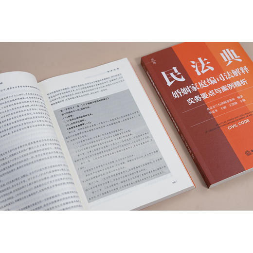 民法典婚姻家庭编司法解释实务要点与案例精析 北京市兰台律师事务所编著 李显冬 王丽 王慧婕主编 法律出版社 商品图3