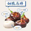 船歌鱼水饺青岛特色野馄饨组合1244g120只 儿童早餐抄手小云吞 紫菜虾皮混沌 商品缩略图8
