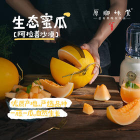 【预售，预计7.5日左右开始发货】阿拉善生态蜜瓜（基地直发-顺丰包邮） | 来自内蒙古阿拉善致良田，生产者：马彦伟，【合作生产，公平贸易】