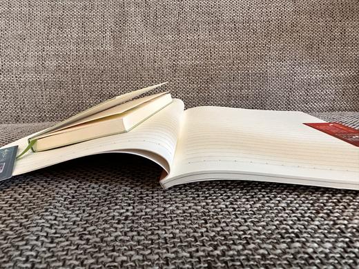 北京故宫文化正版文创小号手账本 大号记事本练习本 商品图6