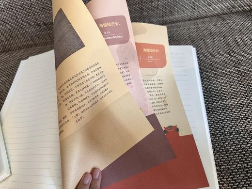 北京故宫文化正版文创小号手账本 大号记事本练习本 商品图8