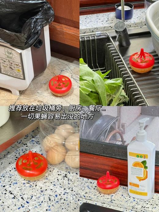 天热必囤❗️小飞虫克星！开团福利价👉【出口日本果蝇诱捕剂】让果蝇、小飞虫都来自投罗网🕸️ 商品图7
