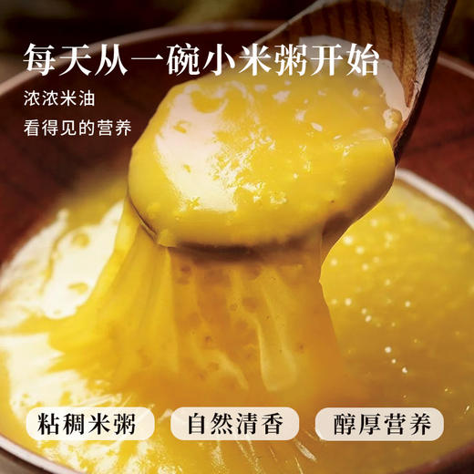  新货农家黄小米易煮易熟/黄润油亮/米油醇厚 商品图2