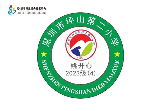 定制深圳市坪山区坪山第二小学熨烫校徽布标姓名贴胸章缝制包邮51 商品图3