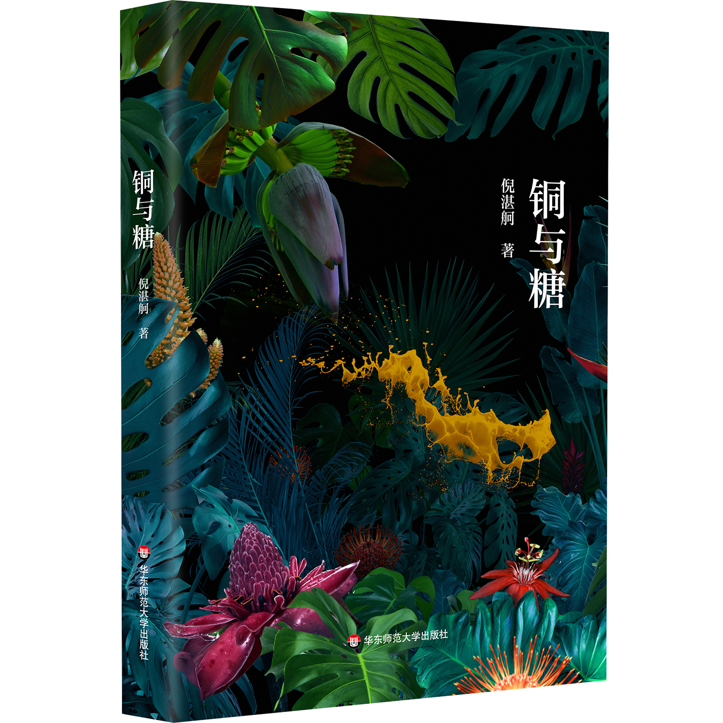 铜与糖 诗人倪湛舸 诗集 皮埃尔和艾琳娜系列