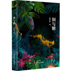 铜与糖 诗人倪湛舸 诗集 皮埃尔和艾琳娜系列