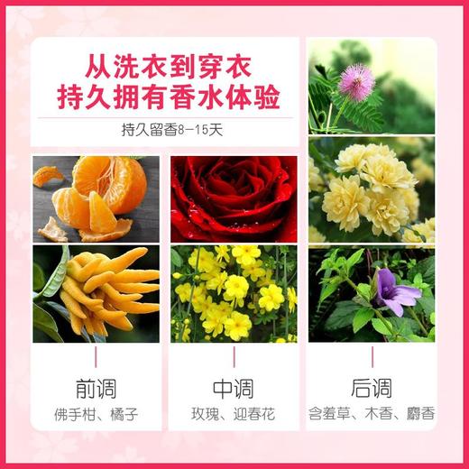 【蔬果园樱花香水洗衣液】蔬果园樱花香水除菌洗衣液洁净护色抑菌持久留香家庭装手机洗 商品图3