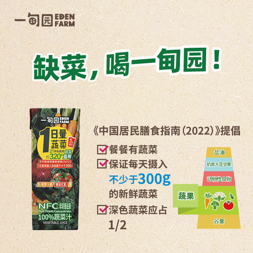 【代发 】一甸园纯蔬菜汁番茄汁直榨营养补充饮料200ml*10盒 商品图7