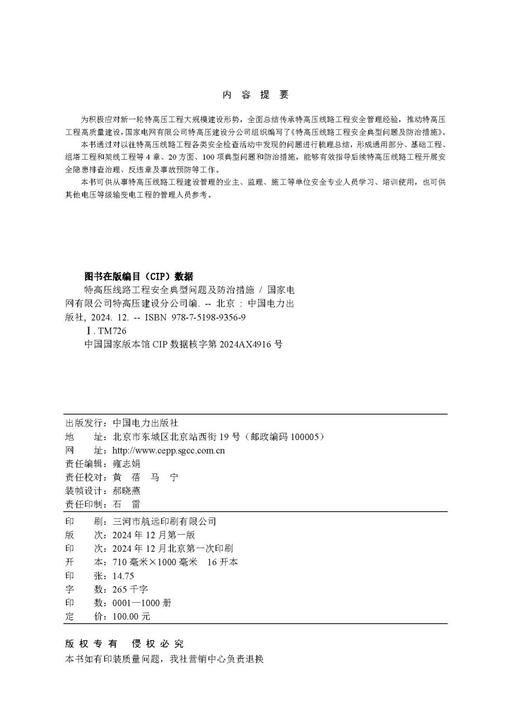 特高压线路工程安全典型问题及防治措施 商品图3
