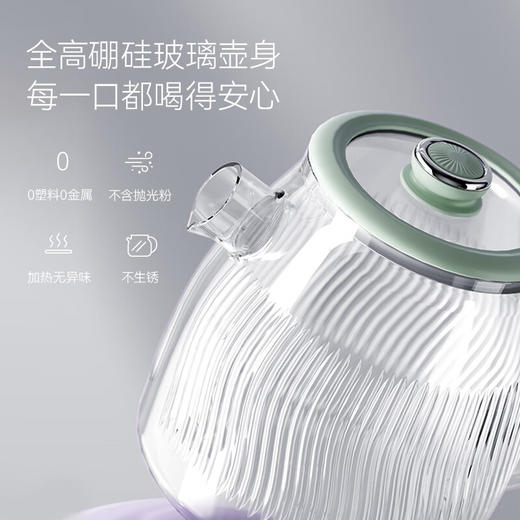 七彩叮当新款养生壶多功能家用小型办公室全玻璃煮茶器烧水花茶壶 B9001-L 滤网款 1.2L 商品图1