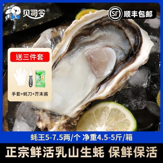 严选 | 贝司令乳山刺身级生蚝 4.5斤/箱 重5-7.5两/只 蚝肉饱满 鲜嫩多汁 送：开蚝三件套（手套+蚝刀+芥末2g） 商品图0