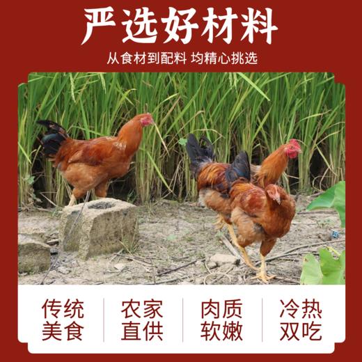 守滋纸包鸡 先炸后卤 香入骨髓 冷热双吃，下酒追剧宵夜全能 深夜嘴馋 商品图5