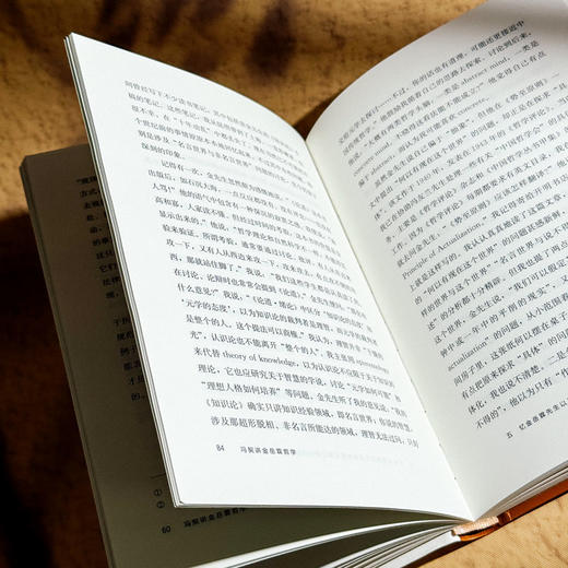 冯契讲金岳霖哲学 中国哲学 逻辑学 形而上学 商品图12