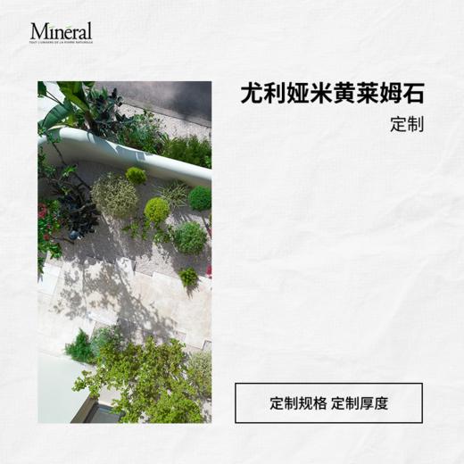 尤利娅米黄-样品链接 商品图1