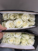 花木里骄傲C 商品缩略图1