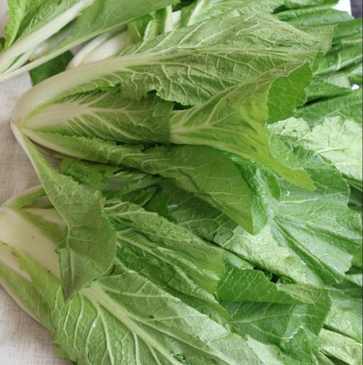 【预售7月5号/6号发货】生态高原紫花菜（农场直发-顺丰包邮）|紫花菜3.5—4斤装，来自四川小金，生产者：吴明清【合作生产，公平贸易 商品图7