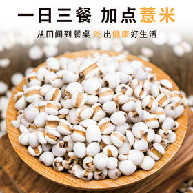 农家自种薏仁米五谷杂粮粗粮