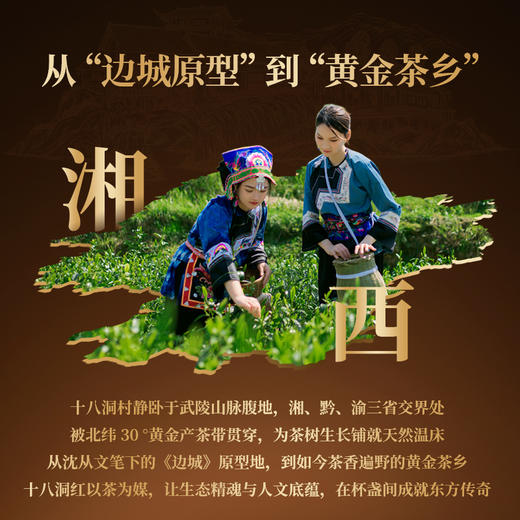正山堂 十八洞红初心 特级红茶骏眉中国正宗湖南黄金茶叶罐装50g 商品图5