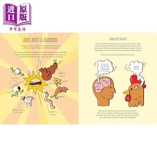 【中商原版】屁股的自然史 A Natural History Of Bums The Story Of Evolution From Your Bum To Beyond 英文原版 科普读物 商品图1