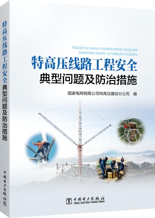 特高压线路工程安全典型问题及防治措施 商品图0