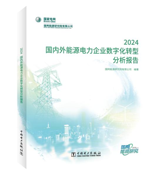 国内外能源电力企业数字化转型分析报告 2024 商品图0
