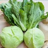 【预售7月5号/6号发货】生态高原紫花菜（农场直发-顺丰包邮）|紫花菜3.5—4斤装，来自四川小金，生产者：吴明清【合作生产，公平贸易 商品缩略图4