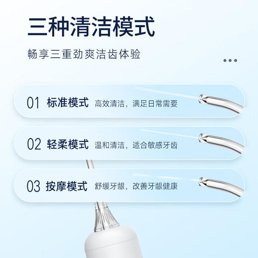 澳得迈便携式电动冲牙器  WT-312 Pro全身水洗牙齿冲洗器三个喷头 商品图1