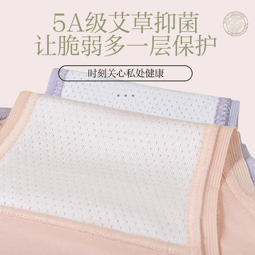 女士内裤透气清爽三角内裤抑菌亲肤棉裆四条装WP727138D 商品图1