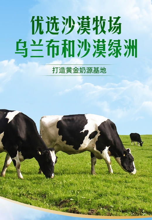 【小牧日记纯牛奶】一盒含 3.8g优质蛋白+125mg原生钙乳 远超欧盟标准 · 配料表只有生牛乳0香精0糖0防腐剂 商品图1