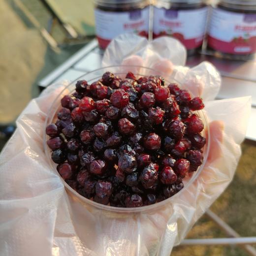 悦怡然 野生蔓越莓干 高浓度花青素 营养丰富 200g*2罐 商品图6