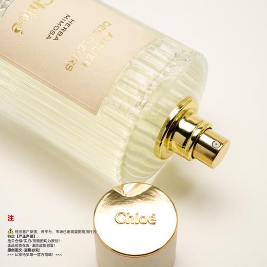 Chloe蔻依 HERBA MIMOSA/浅吻含羞草香水 商品图2