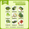 【夏日供港菜9选5】9选5包供港蔬菜 广东顺丰包邮 商品缩略图0