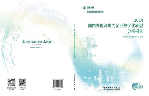 国内外能源电力企业数字化转型分析报告 2024 商品图2